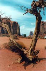 Grand Canyon Airplane Tours - Monument Valley Geology Grand Canyon Airplane Tours - Monument Valley Geology